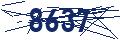 驗證碼